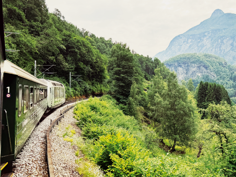 Norveç’in Masalsı Fiyortlarında Büyüleyici Bir Yolculuk FLÅM TRENİ